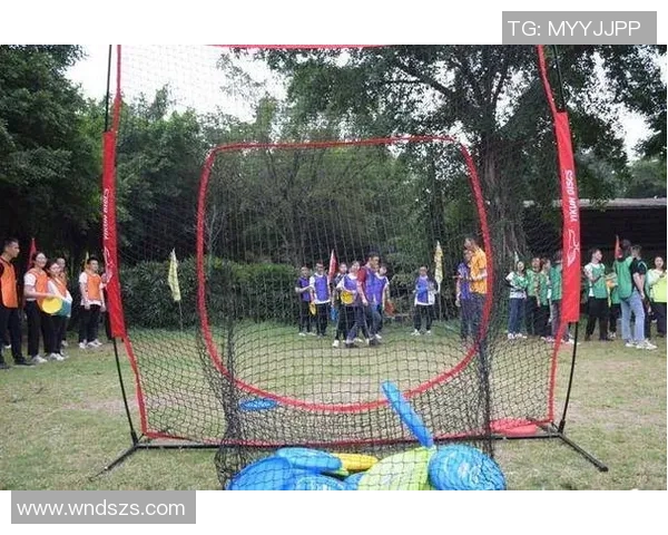 飞盘战术揭秘：深入探讨上海飞盘队的防守与反击策略