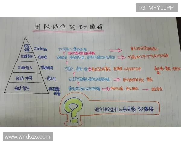 上海乒乓球队的团队协作之道:凝聚力与默契的完美结合