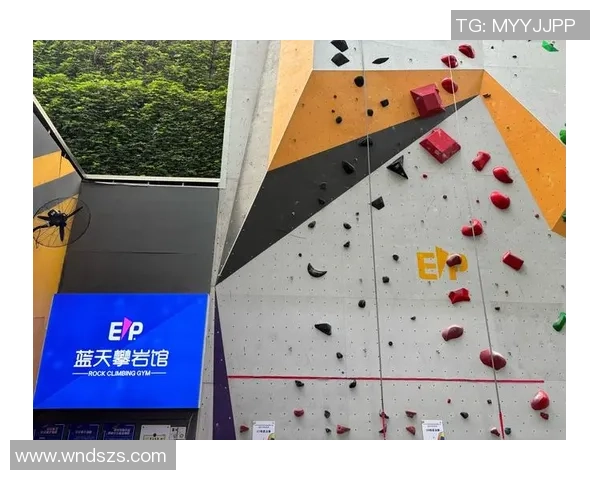 北京攀岩队实力解析与发展前景探讨攀岩运动的魅力与挑战