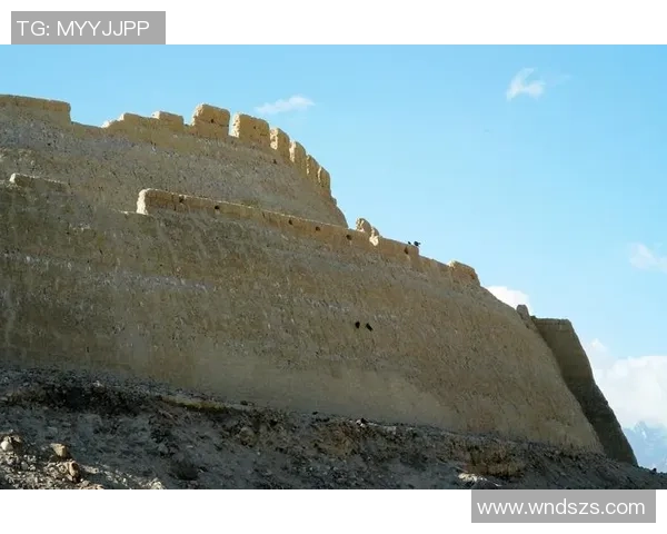 拉波尔特：探索未来科技与人类生活的交汇点与创新之路